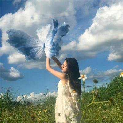 龙与虎